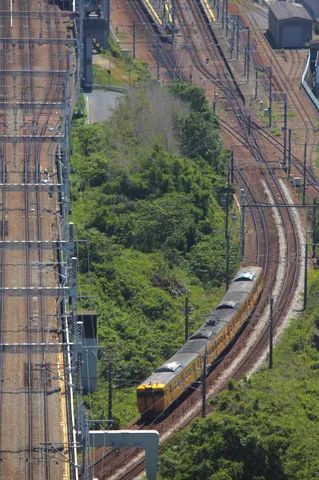 緑の中を走る黄色い電車