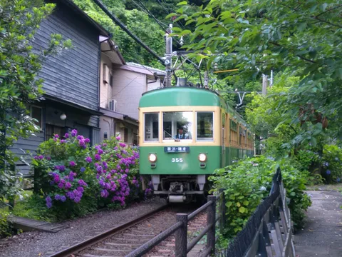さんごーーーー！！！