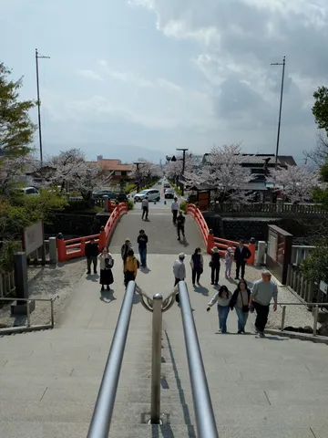 桜並木と石段のコントラスト