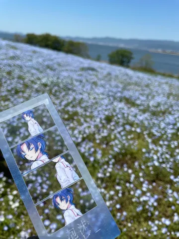 風と花と青髪の記録