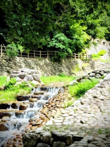 清流が奏でる緑の調べ