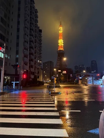 雨夜に浮かぶ、東京の灯