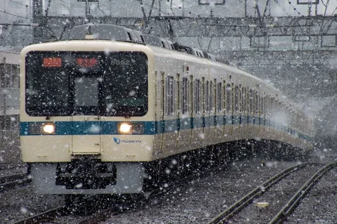「淡雪」泡沫の眩む、刹那の花