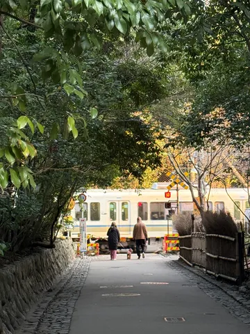 緑の回廊、日常の電車