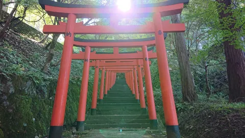 鳥居が続く、誘いの階段