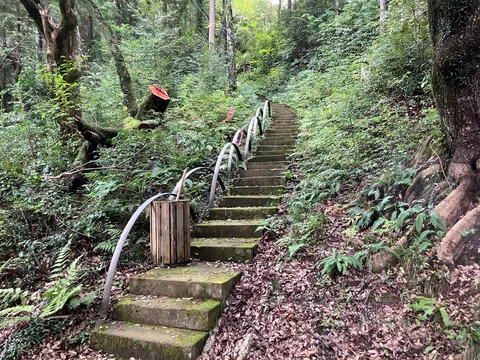 森の奥へ誘う石段