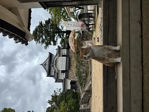 お城を背景に佇む猫