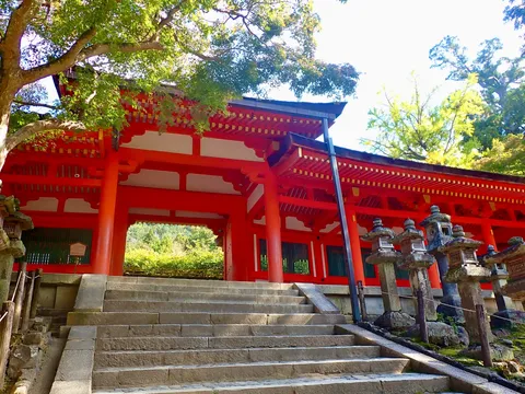 朱色の鳥居と石段のコントラスト