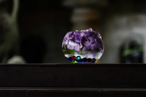 水辺に揺れる紫陽花の小宇宙