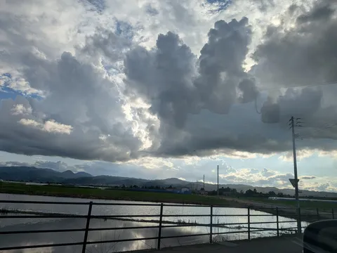 雲と田んぼのコントラスト