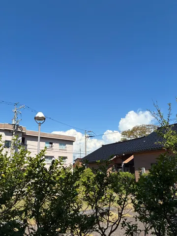 日差しが眩しい、青空と木々のコントラスト