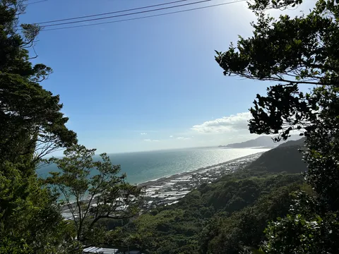 緑と海、光のコントラスト