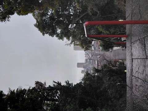 街に出かけよう