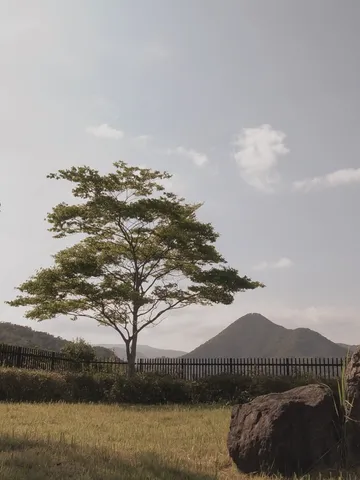 静寂の丘、一本の木と遠い山々