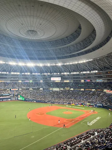 ドーム球場の青い空と緑のフィールド