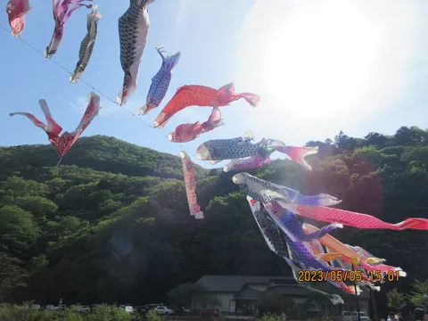 鯉のぼりが風に舞う空