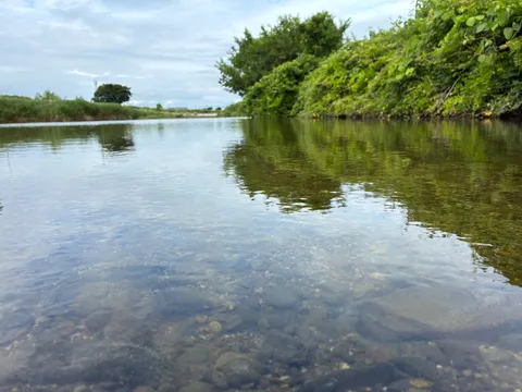 川底まで見える澄んだ水の風景