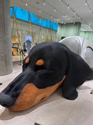 巨大犬の眠るモール