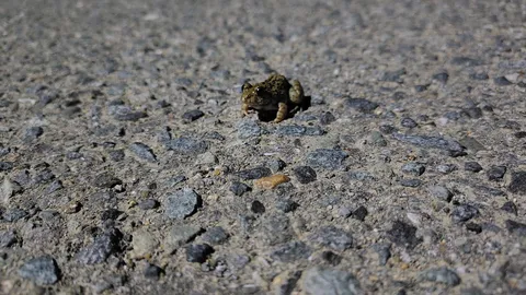 夜道に潜む小さな謎