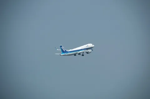 空を駆けるANAの翼