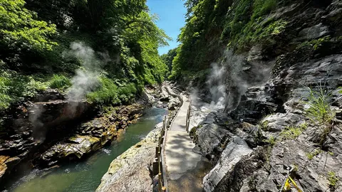 湯けむり峡谷、緑と岩のコントラスト