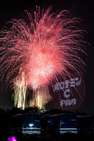 夜空を彩る光の華と、頼もしい相棒たち