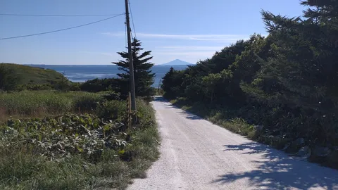 海風と白い道の向こう