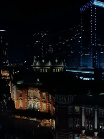 夜景に溶け込む歴史的建造物