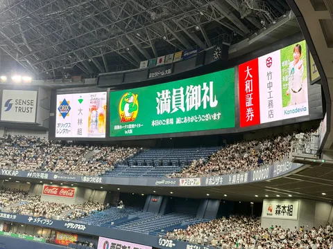 スタジアムを彩る緑と赤のコントラスト