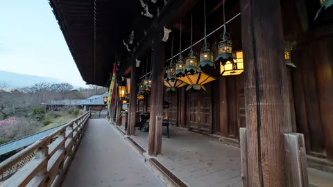 灯りに誘われる古都の回廊