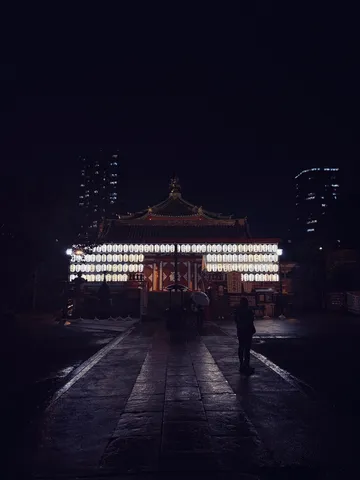 灯りへ続く雨の参道