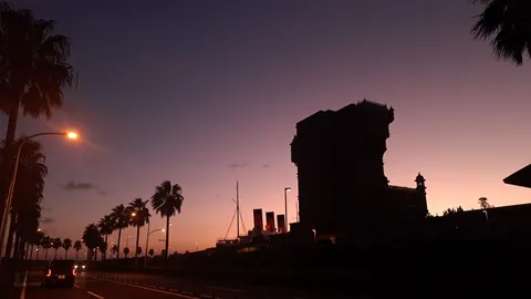 ヤシの木と夕暮れの城
