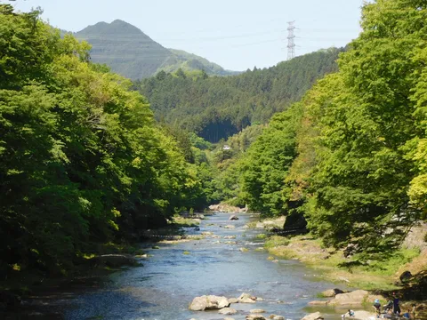 緑深き渓谷、清流の囁き