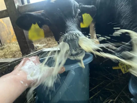 ミルクまみれの濃厚接触