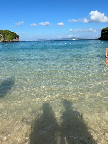 透明な海と二つの影