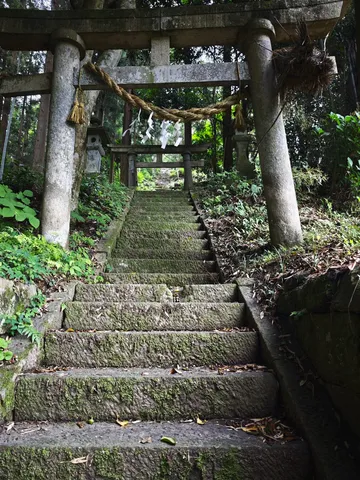 苔むす石段、静寂の鳥居