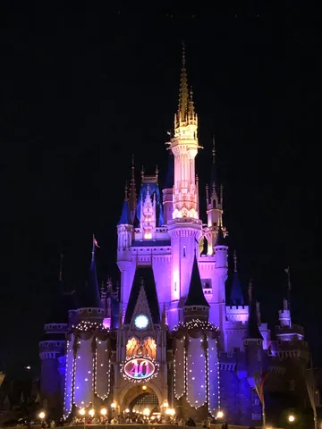 40周年を祝う光の城