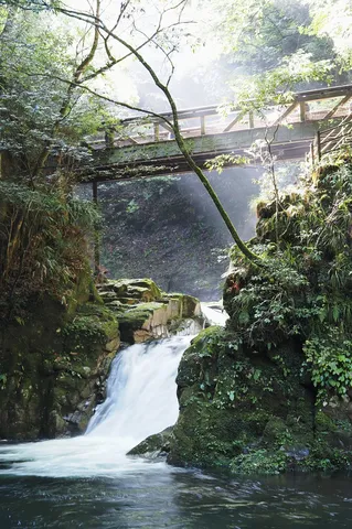 緑と水の落差に惹かれて