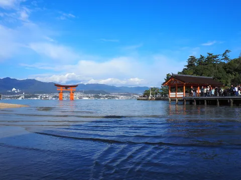 潮風に揺れる鳥居と波
