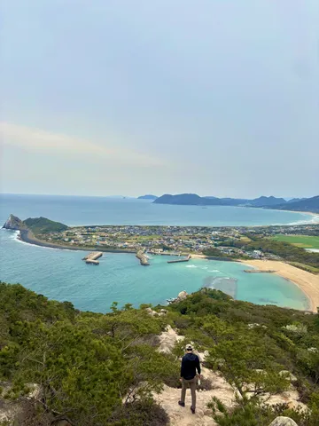高台から見下ろす湾岸風景