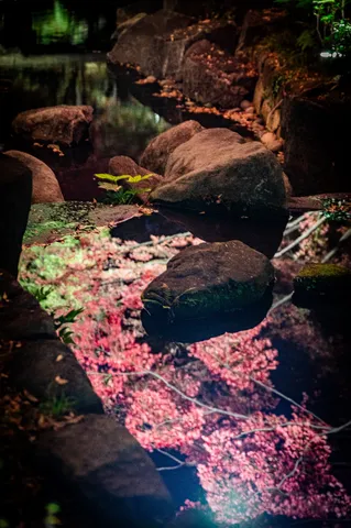 宵の池、仄かな紅葉