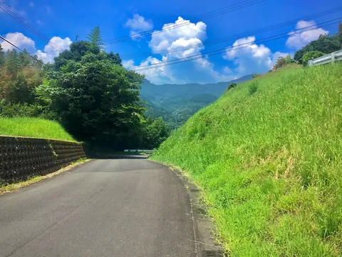 緑と空のコントラスト