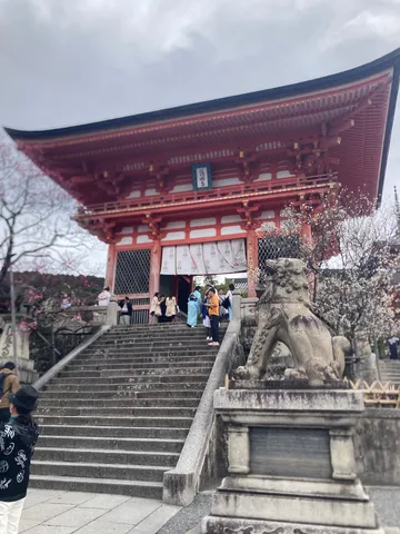 春の門と階段の情景