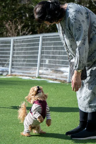 愛犬との楽しいひととき