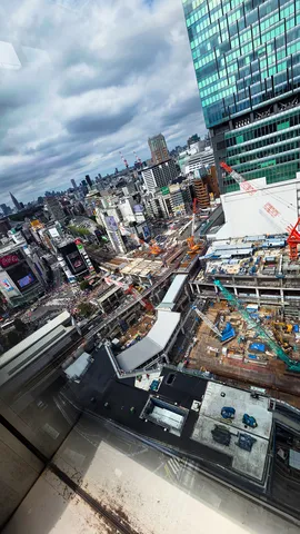 進化する都市の鼓動