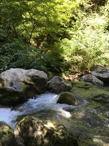 清流と木陰の翡翠色