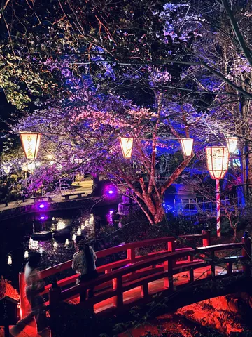光と色彩が彩る夜の橋