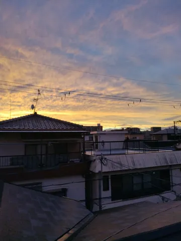 夕暮れの瓦と電線