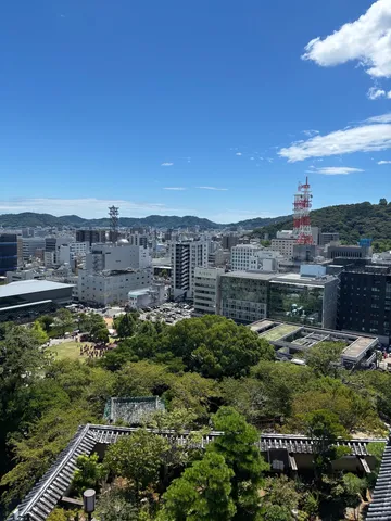 青空と緑が交差する街景