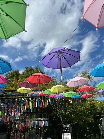 傘とシャボン玉の空中ファッションショー